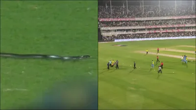 WATCH: Snake stops play during T20I between India and South Africa