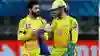 ‘he may have felt hurt’: csk ceo settles jadeja vs dhoni debate once and for all