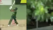 Fakhar Zaman hits the ball out of the park which was picked up by a fan on the road (Screengrab: X)