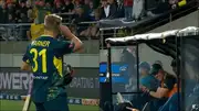 David Warner gives a flying kiss to New Zealand crowd responding to the booeing (Screengrab: X)