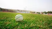 Representational image of a cricket ball. 