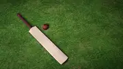 Representational image of a cricket bat and ball. (Getty)