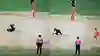 WATCH - Virat Kohli's 39-year-old ex-RCB teammate takes jaw-dropping catch for Namibia in T20 World Cup 2024