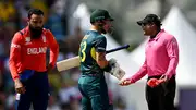 Matthew Wade in an argument with umpire Nitin Menon during Adil Rashid's over (Getty Images)